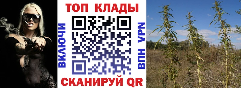  Cocaine Староминская