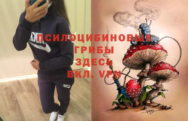 хмурый Абдулино