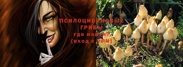 2c-b Абинск
